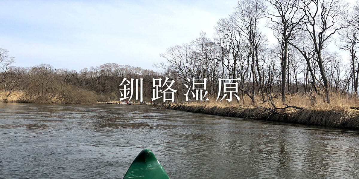 自然いっぱいの釧路湿原をノロッコ号とカヌー体験で楽しもう